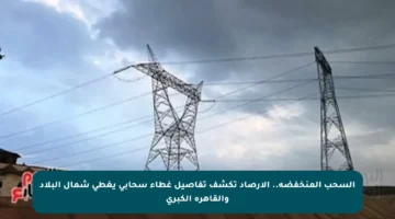السحب المنخفضة.. الأرصاد تكشف تفاصيل غطاء سحابي يغطي شمال البلاد والقاهرة الكبرى